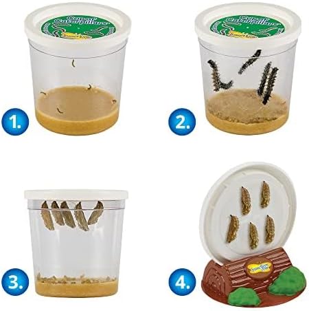 Insect Lore Bug Camp Bundle - Butterfly Kit with 5 Live Caterpillars, Ladybug Land with 1 Tube Live Larvae, Ant Mountain with 1 Tube Live Western Harvester Ants - Bonus Life Cycle Figurines & More