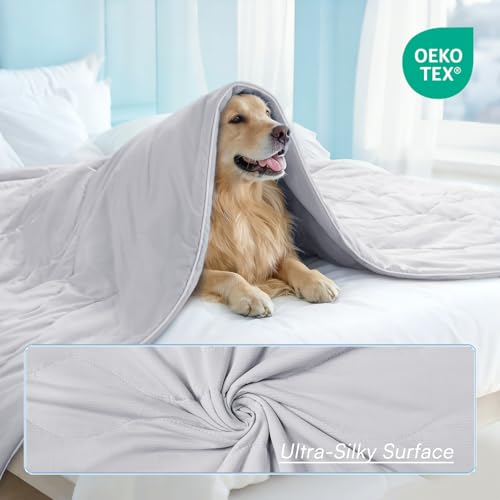 Luciphia Premium Cooling Dog Blanket Washable Q-MAX>0.5 Small Medium Large Pet Mat Puppy Cat Self-Cooling Soft Breathable Calming Throw for Sofa Crate Bed (Light Grey,29x40 inches) - color: Light Grey, size: 29x40 inches