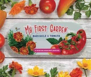 Buzzy Seeds My First Garden Kids Windowsill Grow Kit, Tomato and Marigold Seeds, Indoor Gardening Starter Set for Beginners, Fun DIY Planting Project Gift, New Home Present