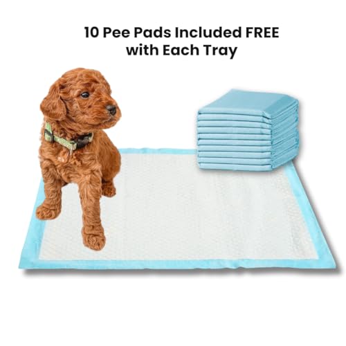 Little Wolves Puppy Potty Tray – 22x22 Shred-Proof Heavy-Duty Training Tray for Puppies & Small Dogs, Easy-Clean, Indoor Dog Pee Pad Holder (Small Gap) - size: Small Gap