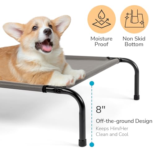 Cooling Elevated Dog Bed for Indoor and Outdoor,50" D x 31" W x 8" H (Gray) - color: Gray