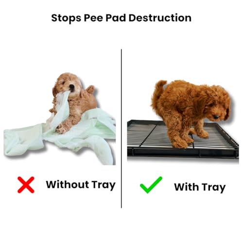 Little Wolves Puppy Potty Tray – 22x22 Shred-Proof Heavy-Duty Training Tray for Puppies & Small Dogs, Easy-Clean, Indoor Dog Pee Pad Holder (Medium Gap) - size: Medium Gap