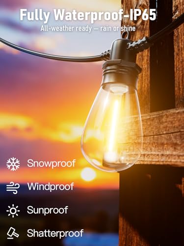 100FT LED Outdoor String Lights with 30 Edison Shatterproof IP65 Waterproof Bulbs, 2700K Dimmable Commercial Grade Patio Lights, Heavy Duty Outside Hanging Light for Garden Porch Deck Decor - size: 100 FT