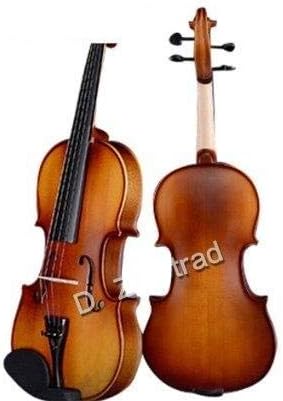 D Z Strad Violin Model 100 Full Size 4/4 with Solid Wood with Case, Bow, and Rosin