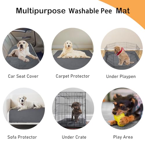 LOOBANI Non-Slip Washable Pee Pad for Dogs, 1 Pack Extra Large Reusable Dog Mat for Floor, Fast Absorbent Pet Whelping Pads, Puppy Playpen Mat for Incontinence, Housebreaking, Crate, 52x82in, Gray - size: 52"*82"(Pack of 1) Gray