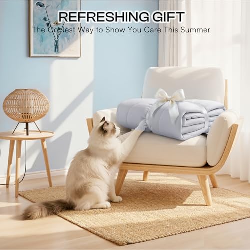 Luciphia Premium Cooling Dog Blanket Washable Q-MAX>0.5 Small Medium Large Pet Mat Puppy Cat Self-Cooling Soft Breathable Calming Throw for Sofa Crate Bed (Light Grey,40x60 inches) - color: Light Grey, size: 40x60 inches