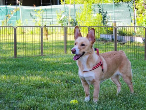 FXW Aster Dog Playpen Designed for Yard, 24inch 32 Panels - size: 24"H & 32 Panels