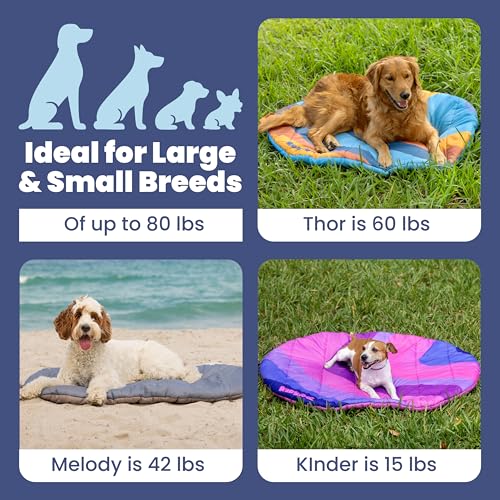 Travel Dog Bed (42" x 30")- Foldable & Packable for Travel, Road Trip, Camping– Lightweight, Water Resistant & Cozy with Soft Padding– Compact, Portable & Machine Washable– Large & Small Breeds: Grey - color: Foggy Trail