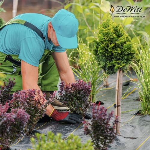 Dewitt 6 x 250 Foot Weed and Mulch Barrier Landscape Woven Fabric Ground Cover, Ideal as Fabric for Yards, Grounding Sheets, Fake Rock, or Floor Mat - size: 4 Pack, style: 6' x 250'