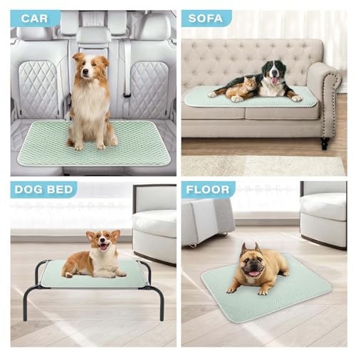 MICROCOSMOS Pet Cooling Mat & Sleeping Pad- Breathable Bubble Surface, EZ Clean. Keep Cooling for Pets, Kids and Adults in Summer.(Green, 40" x 28") - color: Green, size: 40" x 28"