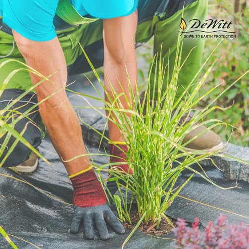 Dewitt 3 x 250 Feet Commercial and Home Garden Landscape Weed Block Barrier, Ideal as Fabric for Yards, Grounding Sheets, Fake Rock, or Floor Mat - size: 2 Pack, style: 3' x 250'