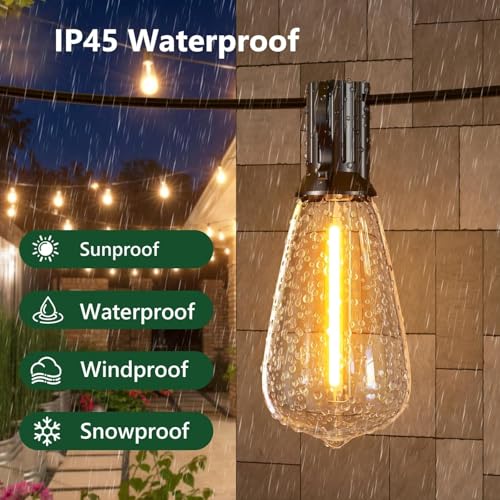 100FT Remote Outdoor String Lights for Outside, 50+2 LED Waterproof Shatterproof Edison Dimmable Timer Bulbs, 2500K Warm White Patio Lights for Garden Backyard Yard Hanging Lighting - size: 100FT
