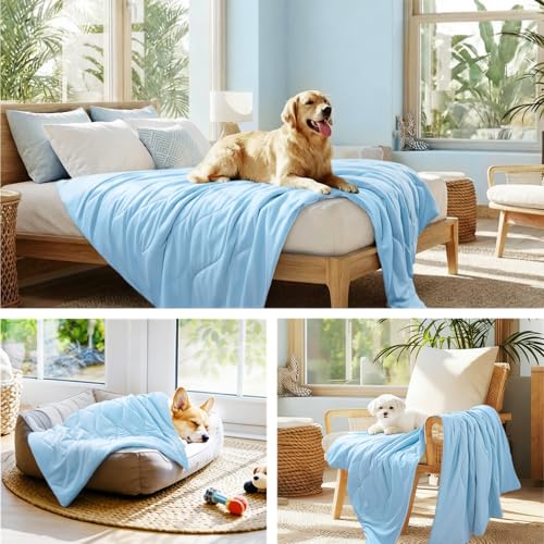 Luciphia Premium Cooling Dog Blanket Washable Q-MAX>0.5 Small Medium Large Pet Mat Puppy Cat Self-Cooling Soft Breathable Calming Throw for Sofa Crate Bed (Light Blue,40x60 inches) - color: Light Blue, size: 40x60 inches