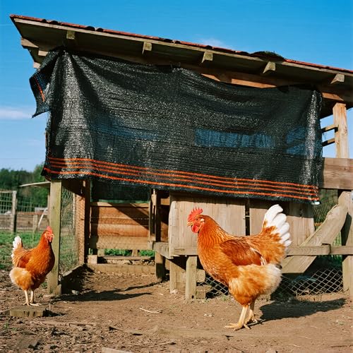 winemana 90% Shade Cloth for Garden- 4x10 FT Breathable Mesh Tarp for Vegetables & Plants, Outdoor Patio Sun Shade with Grommets - Chicken Coop, Dog Kennel Cover - size: 4 FT x 10 FT, style: 90%