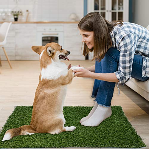 Artificial Dog Grass Pee Pad 30.5"x30.5" 2 Pack, Washable Indoor Potty Training Replacement Turf Grass Mat for Puppy, Reusable Realistic Fake Grass Patch for Dogs - size: 30.5"x30.5"