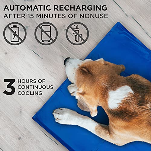 Arf Pets Dog Cooling Mat 23” x 35” Pad for Kennels, Crates, Beds, Non-Toxic, Durable Solid Self Cooling Gel No Refrigeration or Electricity Needed - size: 23 X 35