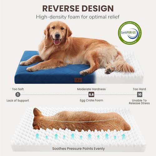Orthopedic Dog Beds for Small Dogs, Washable Pet Bed Mat with Removable Cover, Waterproof Egg Crate Foam Puppy Bed Anti Slip, 23" x 18", NOT for Chewers - size: 23"L x 18"W x 3"Th