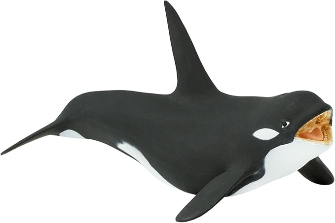 Safari Ltd. Killer Whale (Orca) Figurine - Detailed 7" Plastic Model Figure - Fun Educational Play Toy for Boys, Girls & Kids Ages 3+