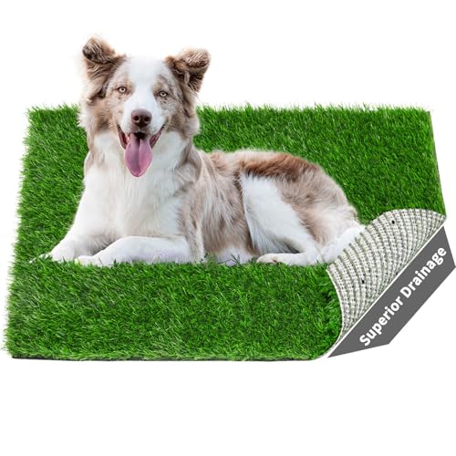 Artificial Dog Grass Pee Pad 26" x 17" 2 Pack, Washable Indoor Potty Training Replacement Grass Turf for Puppy, Reusable Realistic Fake Grass Pads for Dogs, Easy to Clean with Drainage Holes - size: 26"x17"