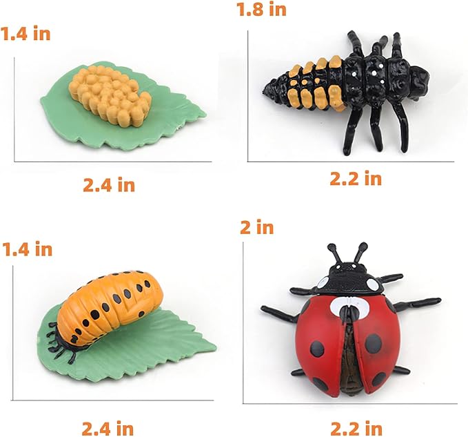 Montessori Life Cycle Learning & Education Toys, Plastic Insect Ladybug Monarch Butterfly Tadpole to Frog Kit Life Cycle Toys for Kids, Preschool Learning Activities for Toddlers