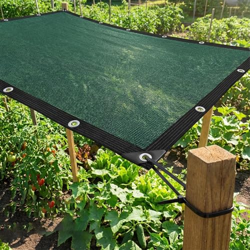 80% Sun Shade Cloth,Pergola Shade Cover Canopy with Grommets,Sun Screen Fabric Tarp for Patio,Outdoor,Garden,Backyard[Green5×10FT] - size: 5×10FT