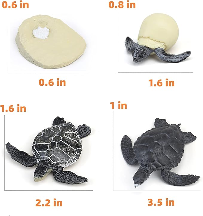 Montessori Life Cycle Animal Figures with Flash Cards, Realistic Animal Figurines Toy, Educational Matching Game for 3+ Year Old Toddlers Kids (Turtle)