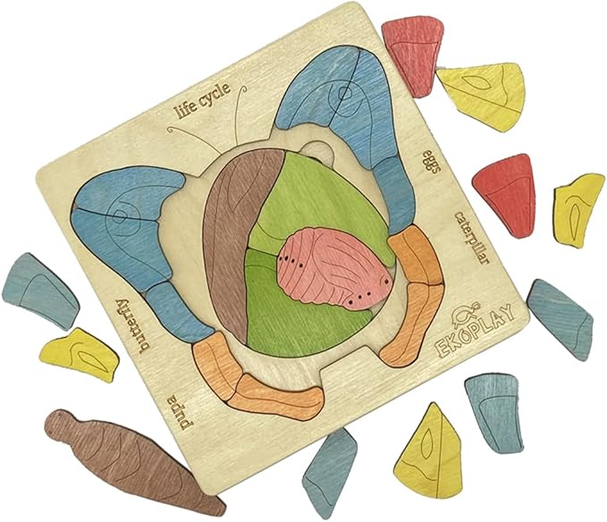 Life Cycle of A Butterfly | 31 Piece Wooden Multilayered Jigsaw Puzzles for Kids | Educational Toy and Gift for Boys & Girls 3 Years and Above