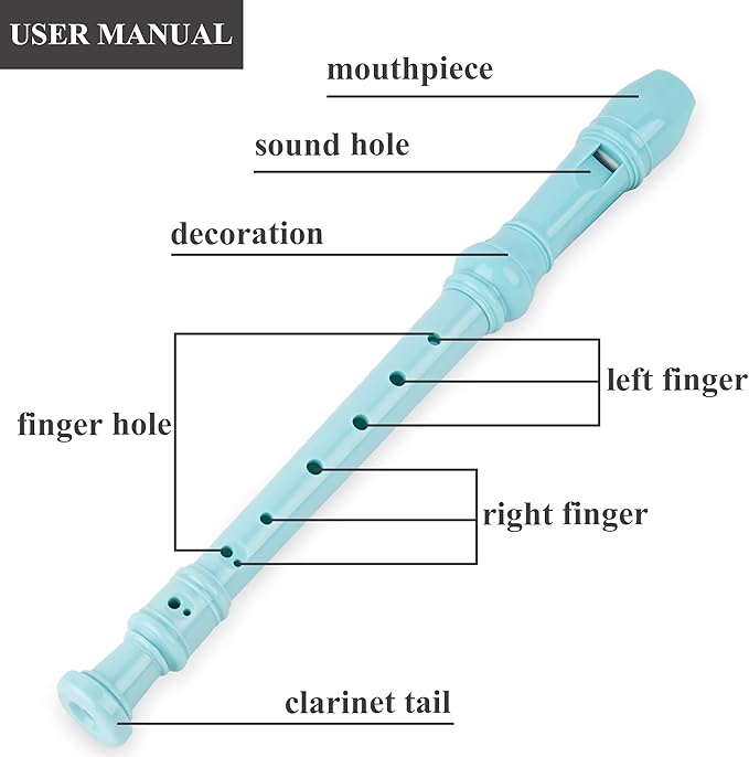 Recorder Instrument for Beginner Kids Adults,8-Hole Soprano Descant Recorder Music Flute with with Cleaning Rod & Leather Case For School Student Home Entertainment(2-Carved Dark Green)