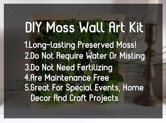 Preserved Reindeer Moss Natural Green DIY Kit Gardenning Art Wall Decor Florist Decor Easter Table Decor Wedding