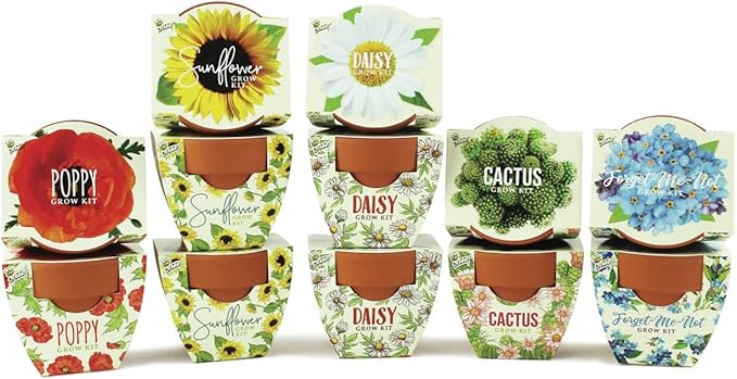 BUZZY Seeds Mini Terracotta Pots 12-Pack with Plant Seeds, Poppy, Sunflower, Daisy, Cactus and Forget Me Not, All-in-One Seed Starter Kit, Indoor Outdoor Gardening Gift, Wedding Favors