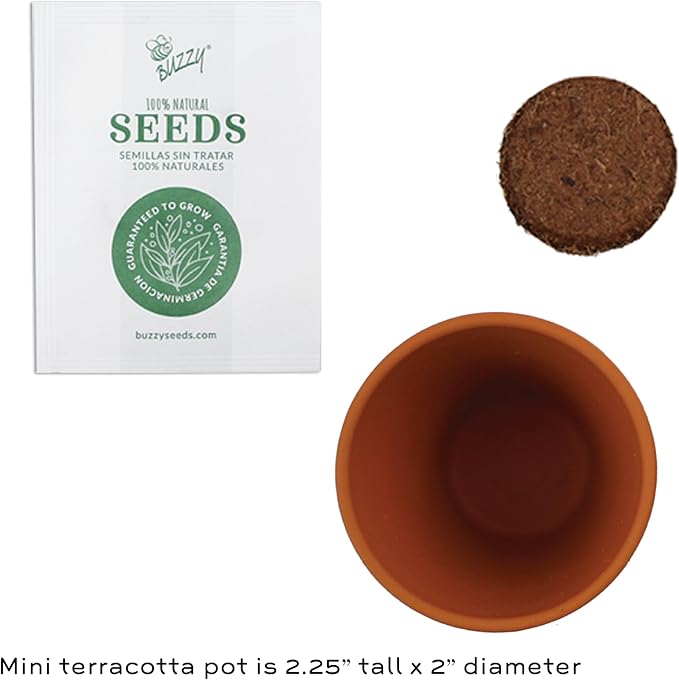 BUZZY Seeds Sunflower 12 Pack Terracotta Mini Grow Pots, Flower Planting Seed Starter Kit for Kids and Adults, Classic Collection Includes Easy Instructions for Growth Success, Gardening Gift