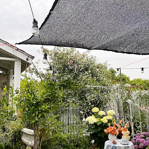 winemana 50% Black Shade Cloth, 3.3 x 6.6 FT Durable Mesh Tarp with Grommets, Garden Sunblock Shade Cloth Shading Antifreezing for Plants Cover, Greenhouse, Barns Kennel, Patio, Tomatoes - size: 3.3 FT x 6.6 FT, style: 50%