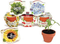 BUZZY Seeds Mini Terracotta Grow Pots Daydream Collection, Assorted 6-Pack Flower and Plant Seed Starter Kit for Kids and Adults, Indoor Gardening Gift, Holiday Present, Stocking Stuffer
