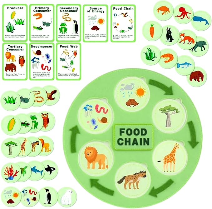 Life Cycle Toys for Kids-Food Chain & Food Web Science Education Toys - Montessori Animal Life Cycle Learning Toys for Toddlers-Preschool Classroom Must-Have Science Kits for Kids