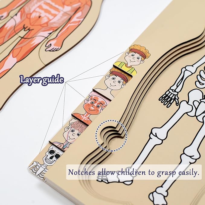 My Body Parts Puzzle for Toddlers Kids Girls Boys Montessori Wooden Anatomy Puzzle 3-5 Years Old Preschool Learning Game Human Body Cognitive Toys