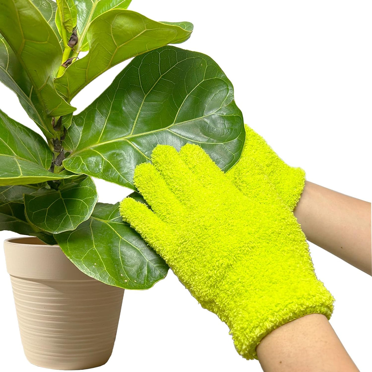 Microfiber Gloves For Plant Dusting