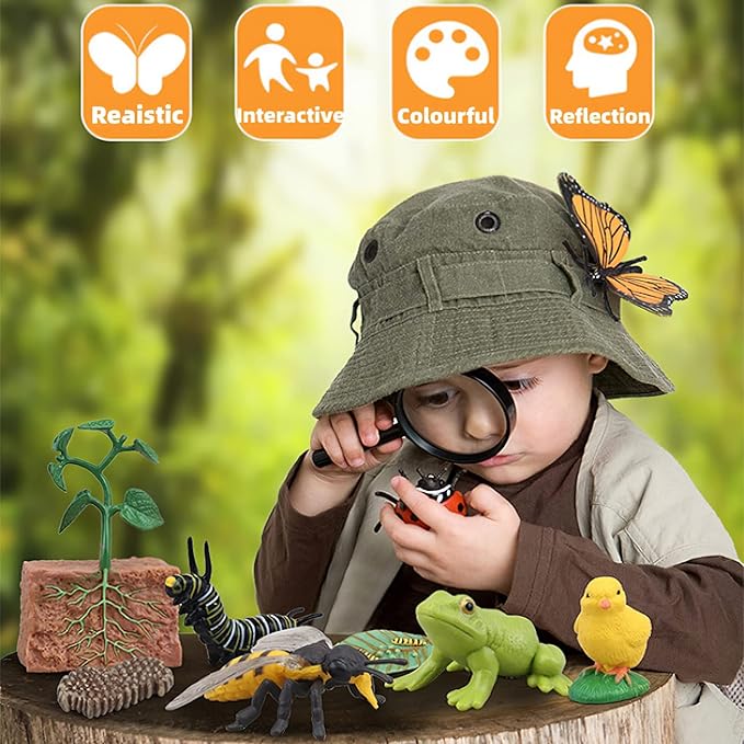 Montessori Bee Life Cycle with Flash Cards, Realistic Animal Figurines Toy, Animal Educational Matching Game for 3+ Year Old Toddlers Kids (Bee)