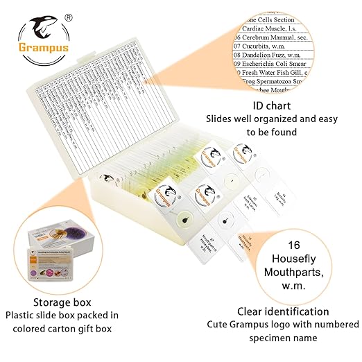 30 Prepared Microscope Slides with Specimens for Kids Students - Insects, for Biological Science Lab, Children's Science Education, Homeschooling Use