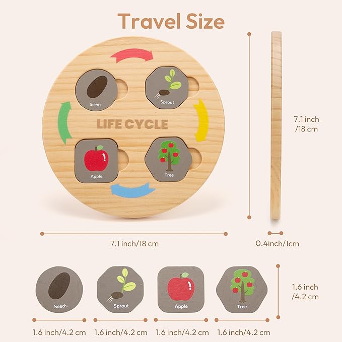 Woodtoe Life Cycle Toys for Kids, 12 Themes Montessori Preschool Science Center Materials, Wooden Learning & Educational Toys for Toddlers, Learning Game Travel Gift STEM Toys for Boys Girls Age 3-6