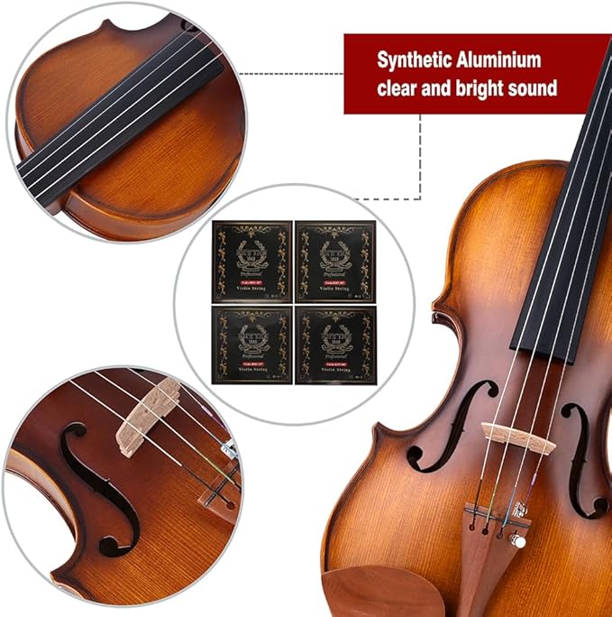 Rhythm Violin Set for Beginners,Acoustic Violins Starter Kit Package for Student,Beginners Fiddle with Hard Case, Rosin, Shoulder Rest, Bow, and Extra Strings (MATTE, Full)