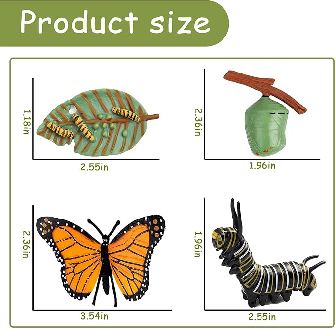 Mbrain 4pcs Butterfly Growth Cycle with Flash Cards,Life Cycle Learning & Education Toys,Montessori Toys,Gift for Girl & Boy for 3 4 5 6 7 Year Old (Butterfly)