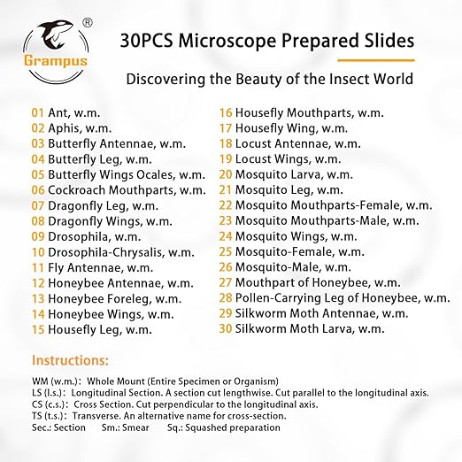 30 Prepared Microscope Slides with Specimens for Kids Students - Insects, for Biological Science Lab, Children's Science Education, Homeschooling Use