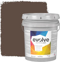 EVOLVE Paint & Primer: Environment-friendly, Low Sheen with One-coat Coverage for Interior & Exterior surfaces (Espresso, 5-Gallon)
