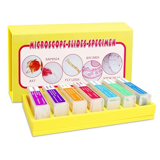 35PCS Prepared Microscope Slides with 7 Types Specimens, Insect/Plant Glass Sample Slide for Kids Adults Family Preschool Education Scientific Enlightenment