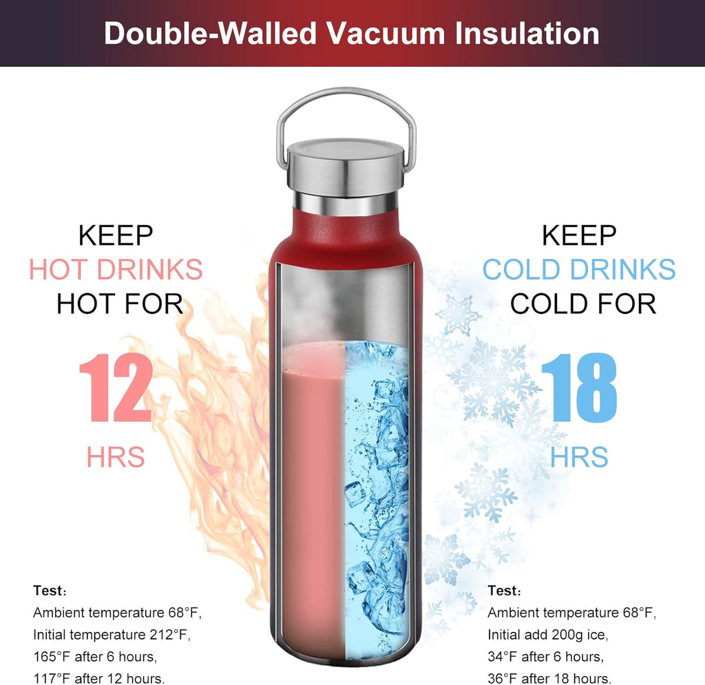 Neihepal 20 oz Insulated Water Bottles Bulk 2 Pack,Stainless Steel Double Wall Sport Bottle with Lid of Handle,Metal Reusable Thermoses Flask for School,Cyclists,Hikers,Gift (Dark Rainbow,Set of 2)