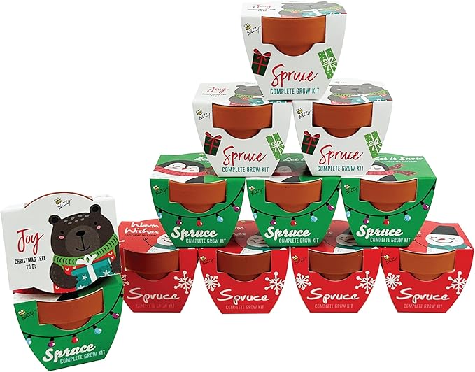 BUZZY Seeds Kids Holiday Mini Spruce Kit, 12-Pack Terracotta Pots with Bear, Penguin and Snowman Designs, All-in-One Tree Seed Starter Set, Stocking Stuffer, Children's, Party Favor