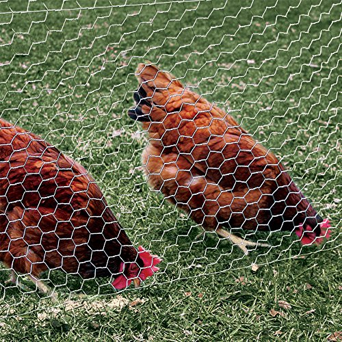 YARDGARD 308410B Fence Poultry Netting, 3'by10', Silver - size: 36 Inches x 10 Feet