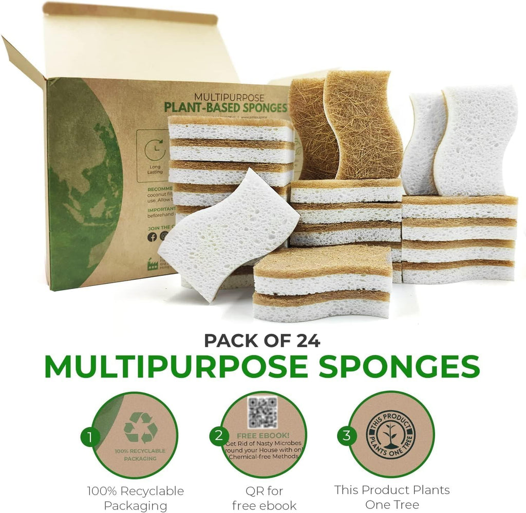 Biodegradable Natural Kitchen Sponge - Compostable Cellulose and Coconut Walnut Scrubber Sponge (24 Pack)