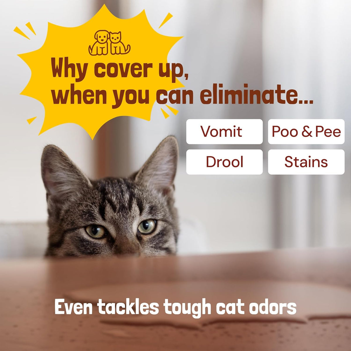 Sunny & Honey Pet Stain Remover & Enzyme Cleaner - 32 Fl Oz, Fall Spice - Carpet Deodorizer & Urine Odor Eliminator for Dog Pee, Cat Urine, Upholstery & Furniture