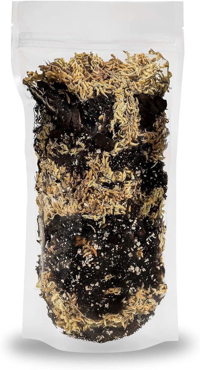 Gardenera Premium Orchid Mix by GARDENERA | Fern + New Zealand Pine Bark + Sphagnum Moss + Perlite | Best for Growing and Repotting Orchids - 3 Quart Bag